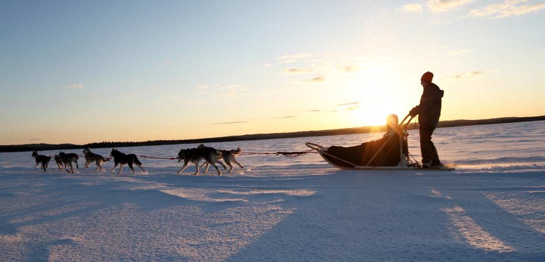 TRINEO DE PERROS, MOTONIEVE Y RAQUETAS EN FINLANDIA