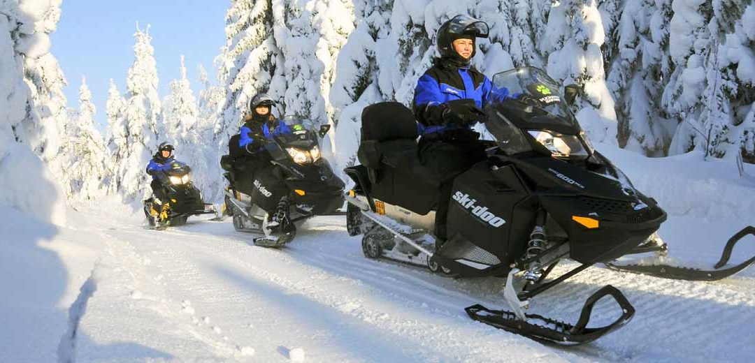 LA RUTA DEL LOBO EN FINLANDIA