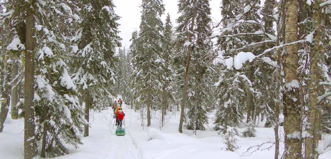 TRAVESÍA CON RAQUETAS EN EL PARQUE NACIONAL DE OULANKA