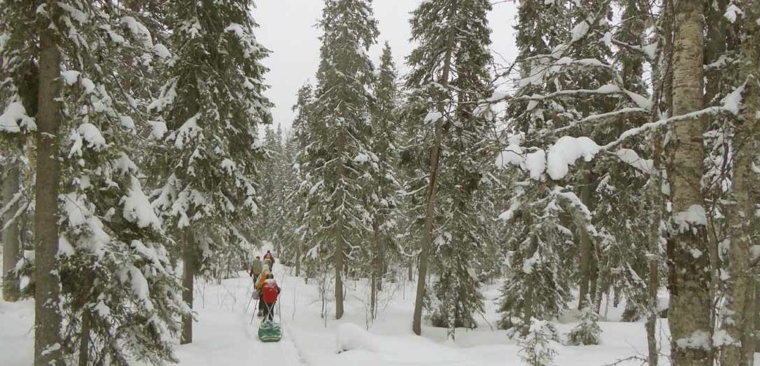ESQUÍ NÓRDICO POR LA FRONTERA RUSA
