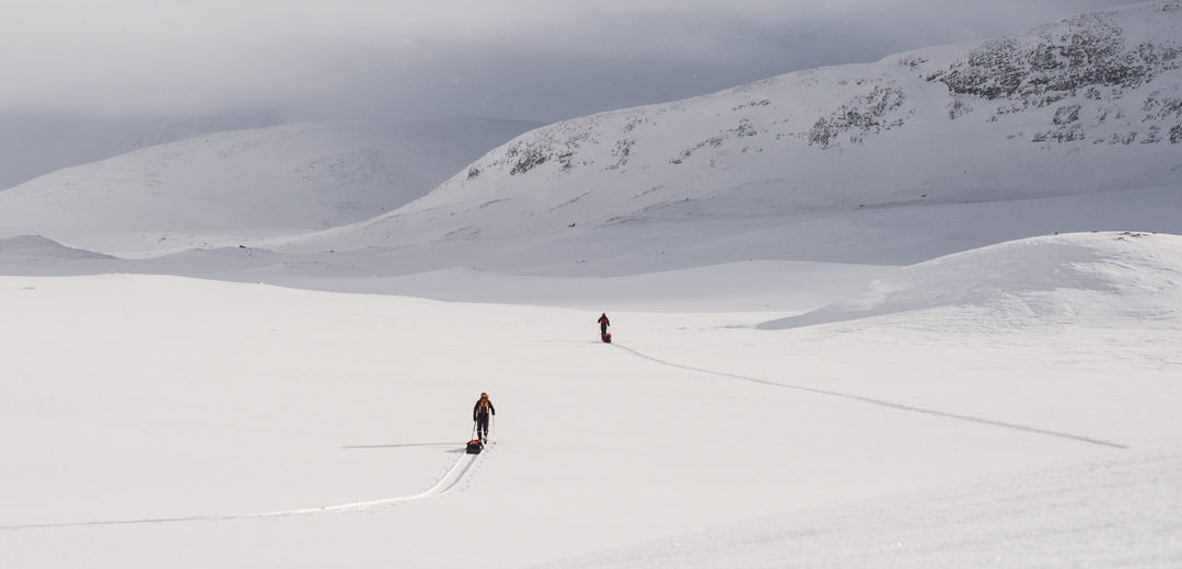 TRAVESÍA CON ESQUÍS EN EL PARQUE NACIONAL SAREK