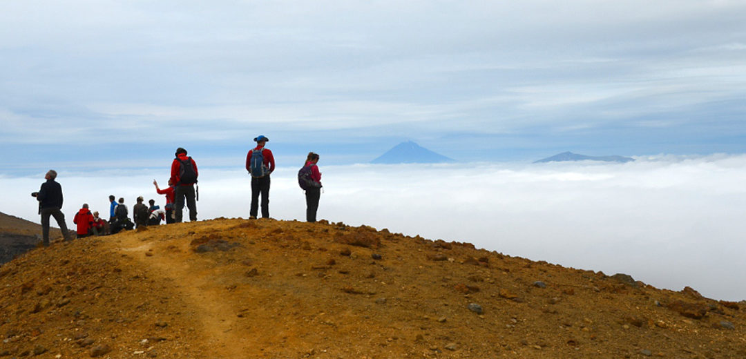 KAMCHATKA: OSOS DEL LAGO KURILSKOYE Y VOLCANES ACTIVOS