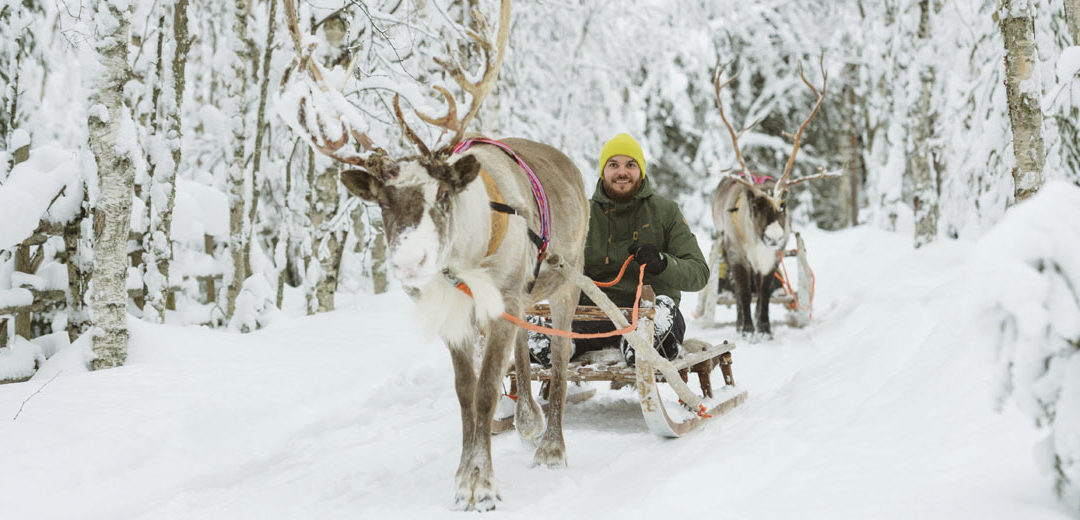 FINLANDIA. FIN DE AÑO EN LAPONIA: TRINEO DE PERROS, RENOS Y MOTONIEVE