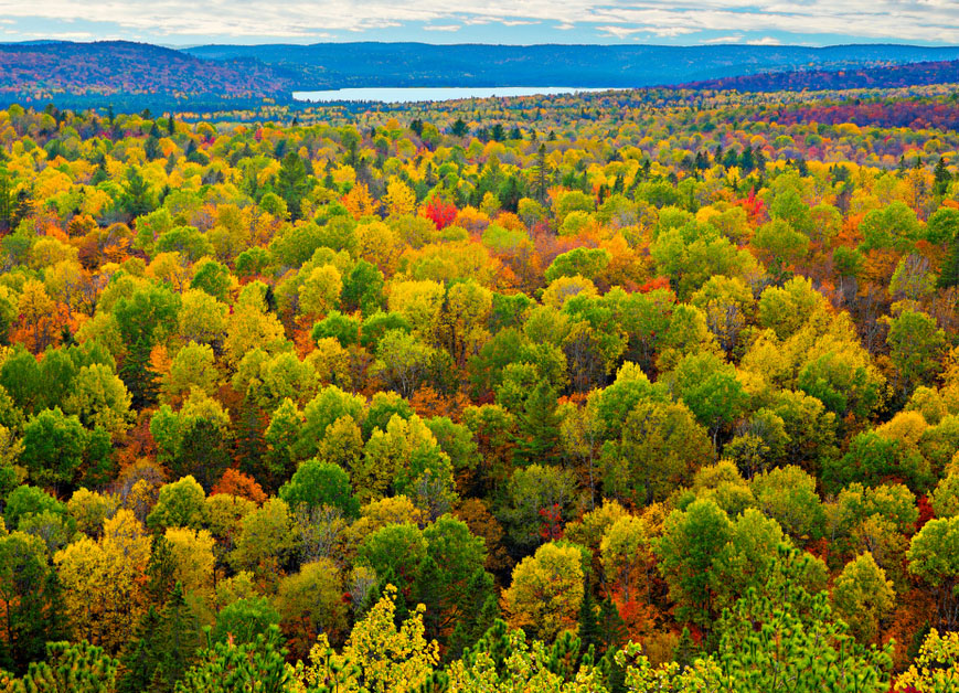 The Spirit of Canada. Colores del Otoño, Canoa, Toronto & Niagara Falls