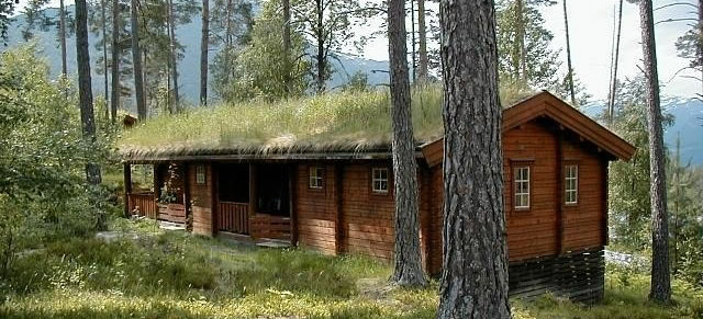 NORUEGA A TU AIRE. FIORDO DE LOS SUEÑOS EN CABAÑAS 7 DÍAS