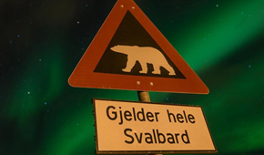 Svalbard viaje