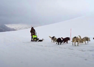 trineo de perros en svalbard