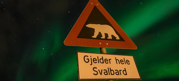 Svalbard viaje auroras boreales